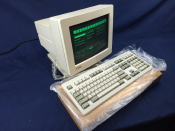 Infowindow II 3153 (42H0400)